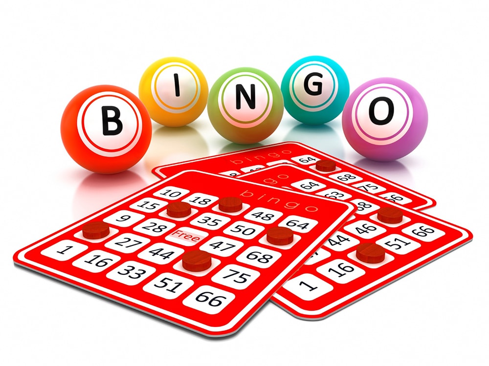 Bingo software for online casinos